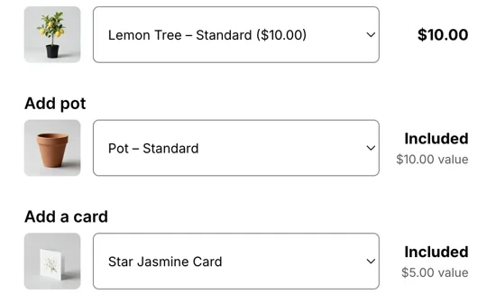 A real BundlePilot product page: one selector for the lemon tree size, one for the pot and one for the card, the pot and the card included